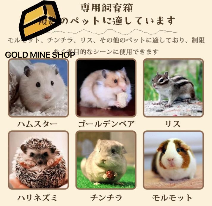 小動物