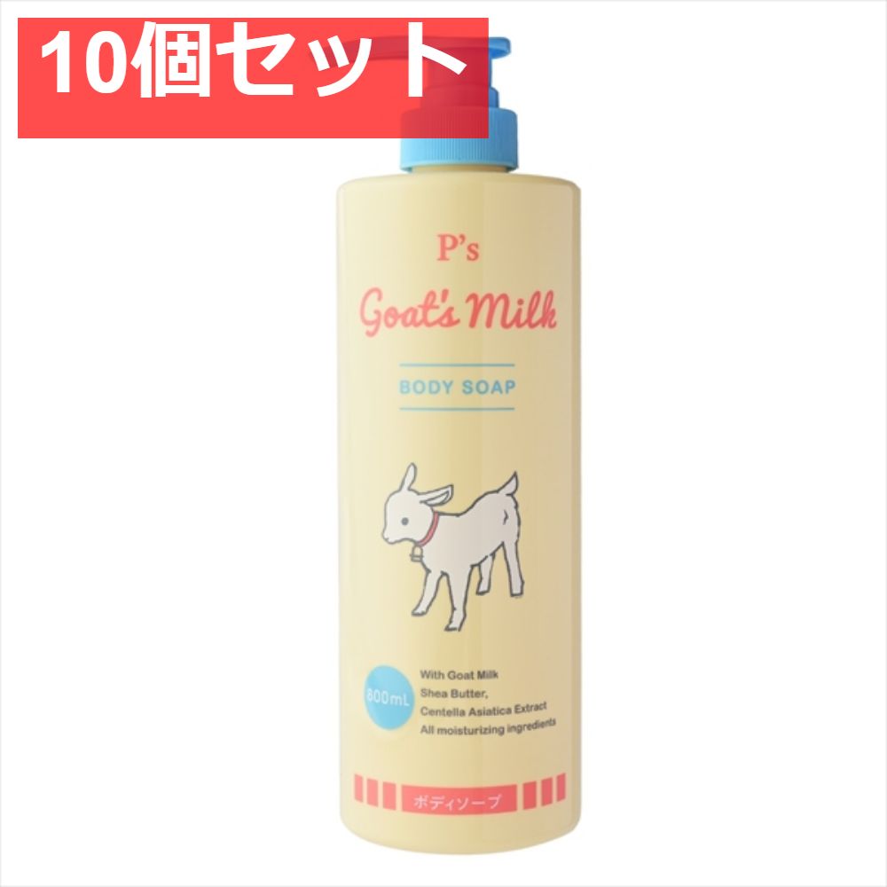 軟質蛇腹ファイル/アンティークひねり金具/ポストカードサイズ03 2025