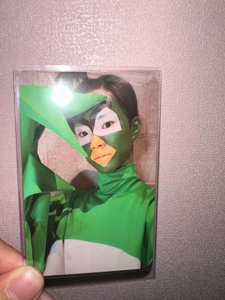 THE BOYZ(ザ・ボーイズ・ドボイズ) アンキュリバード キュー(Q