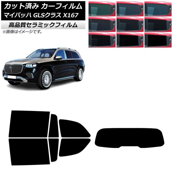 ゴライアストリバネアゲハ 亜種samson 西イリアンarfak mt産