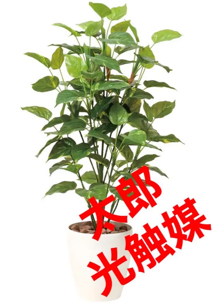光触媒 人工観葉植物 ウォールグリーン フェイクグリーン ポトス1.0 - 置物