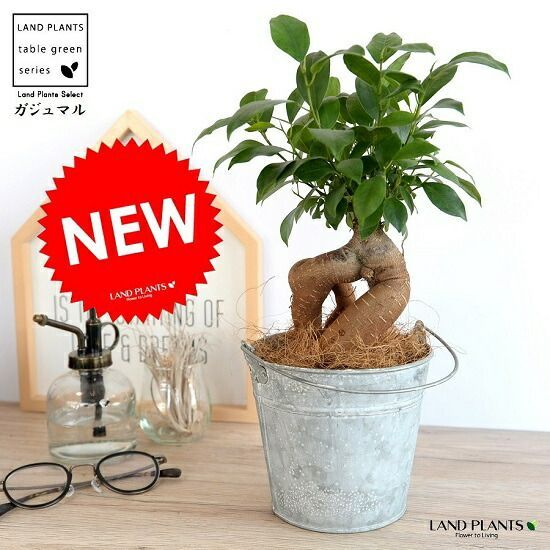 限定品‼︎ タクティクス隔月刊No.3-23フルセット tactics