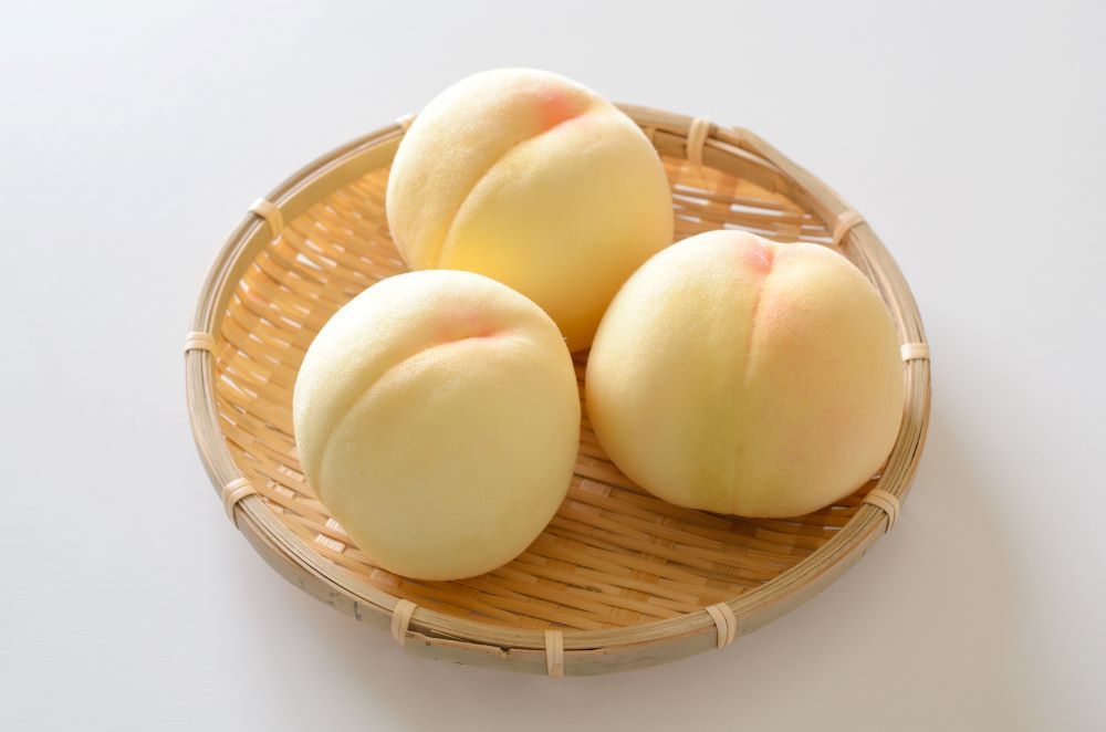 出荷 瀬戸内の暖かい気候で育った