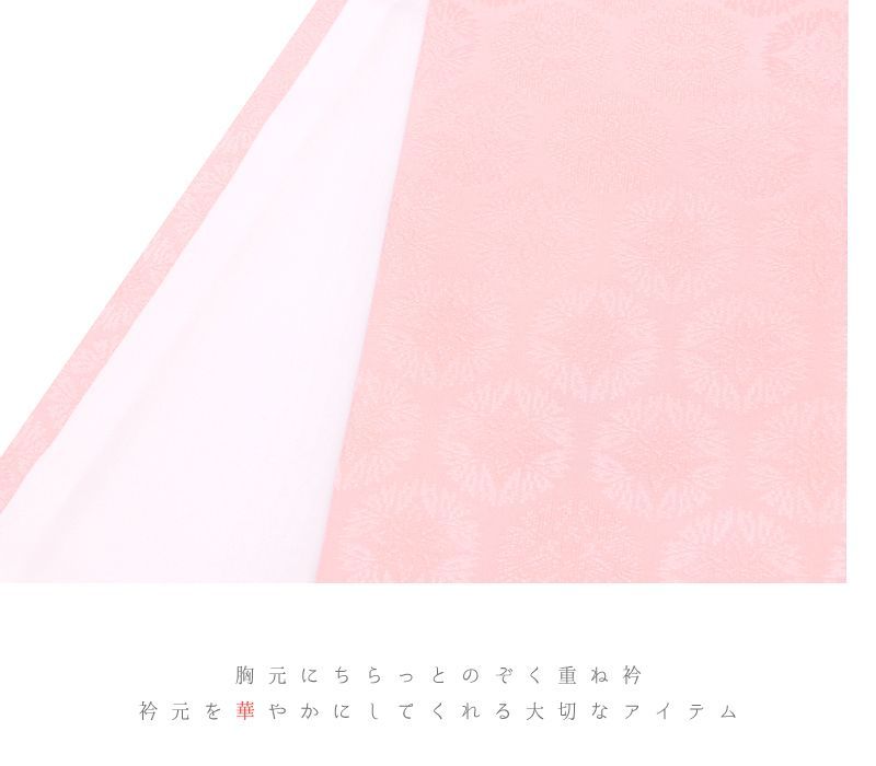 菊