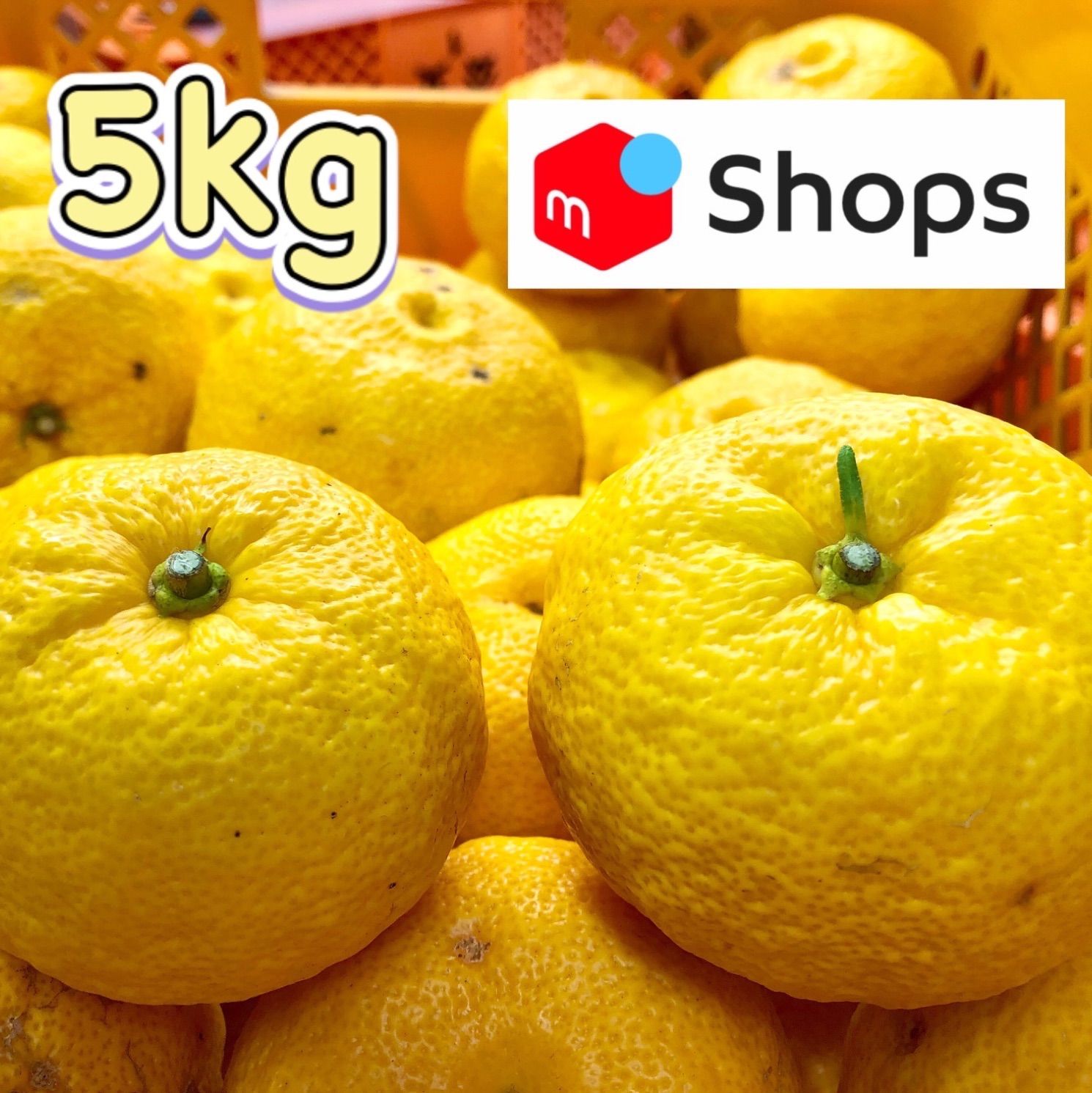 【農家直送】本柚子 5kg
