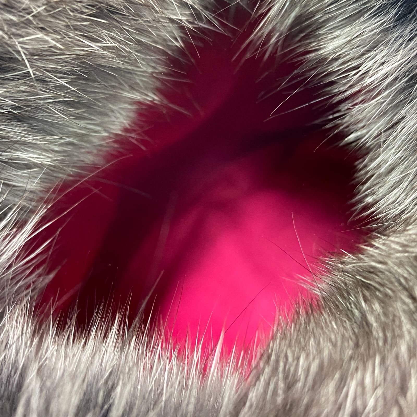 ラドロー　リアルファーバック　グレー 2025年最新】ludlow バッグ ファーの人気アイテム - メルカリ