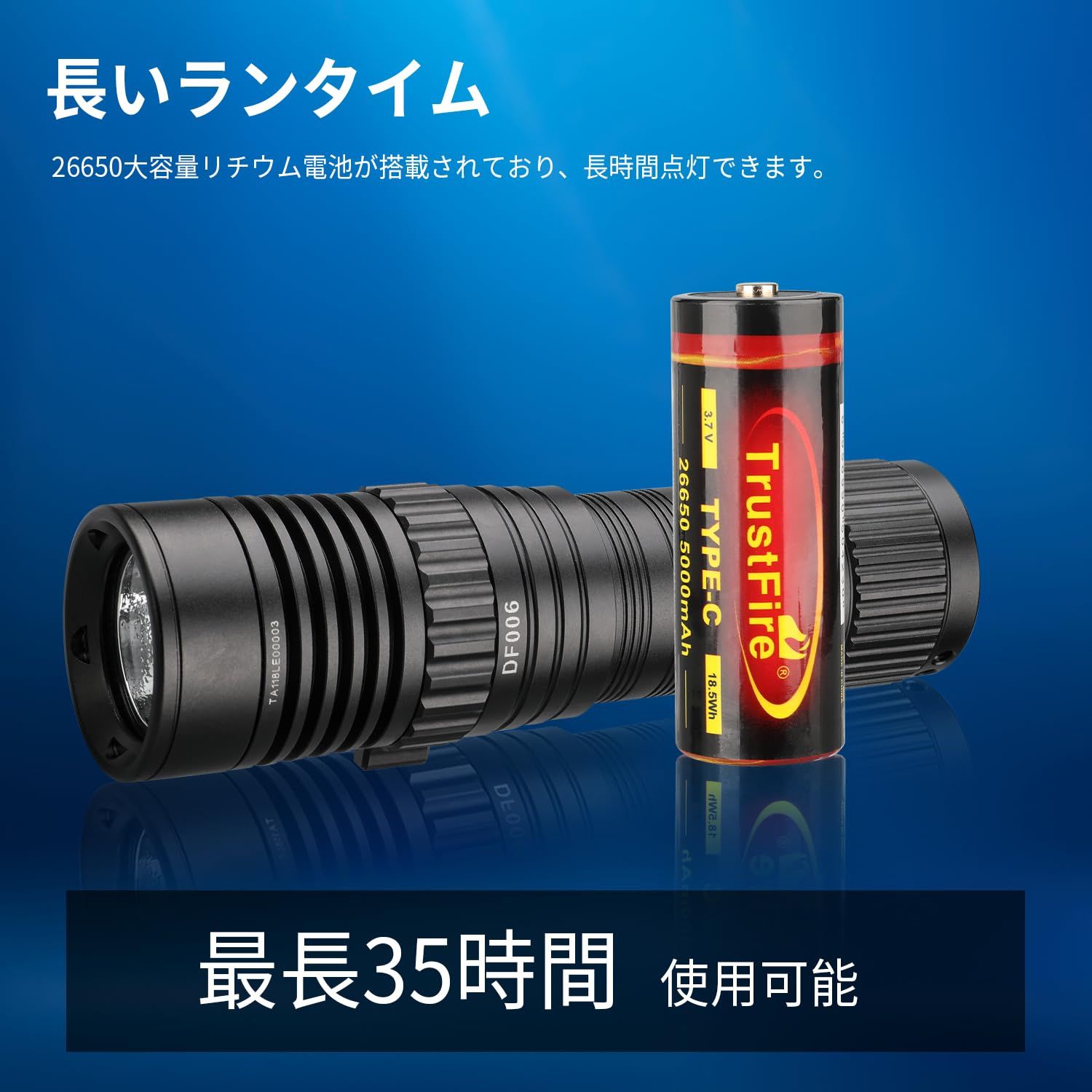 ナイトダイビング