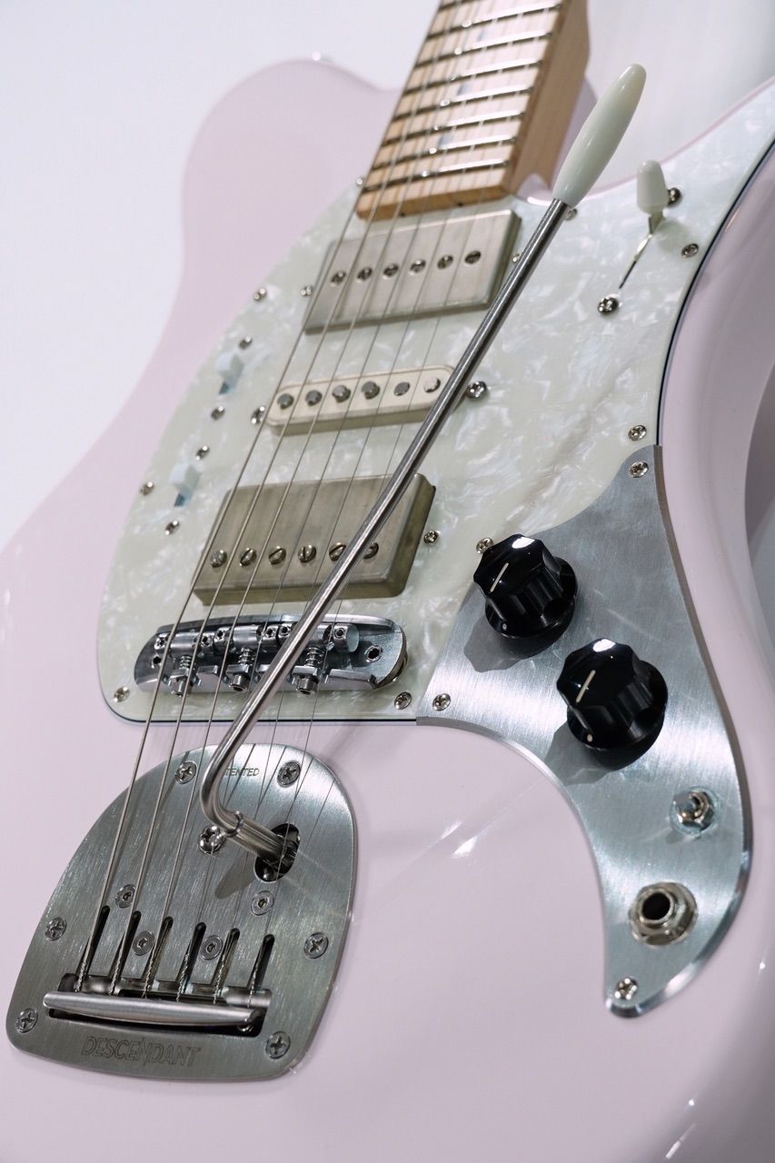 ReNOラストライブのTOKI使用ピック＋TOKI直筆サイン入りギター