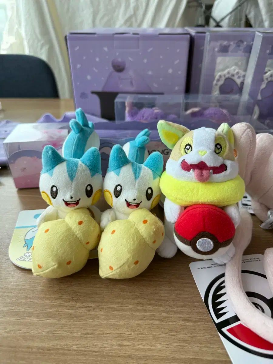 ポケモンセンター 驚き 等張性 ムング ピチ ぬいぐるみ パキリス