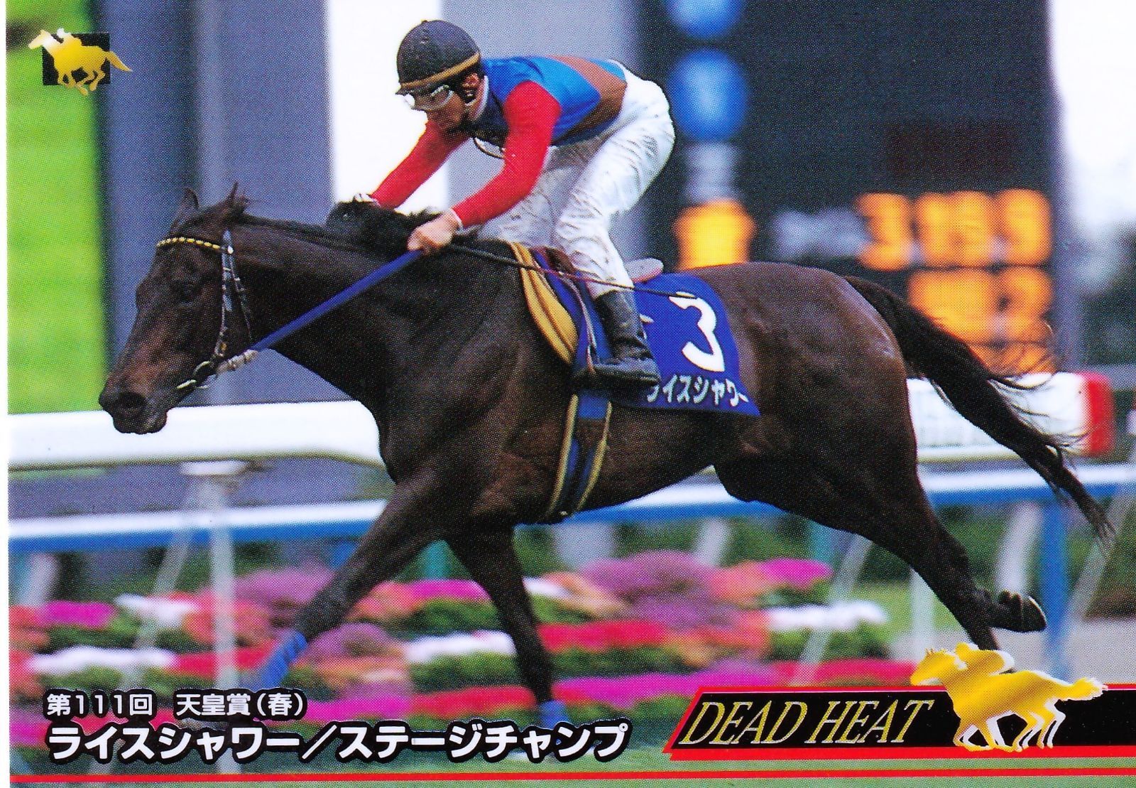 第111回 天皇賞(春) ライスシャワー 馬券　入場券　レーシングプログラム ライスシャワーvsステージチャンプ：第111回天皇賞(春)「サラブレッド