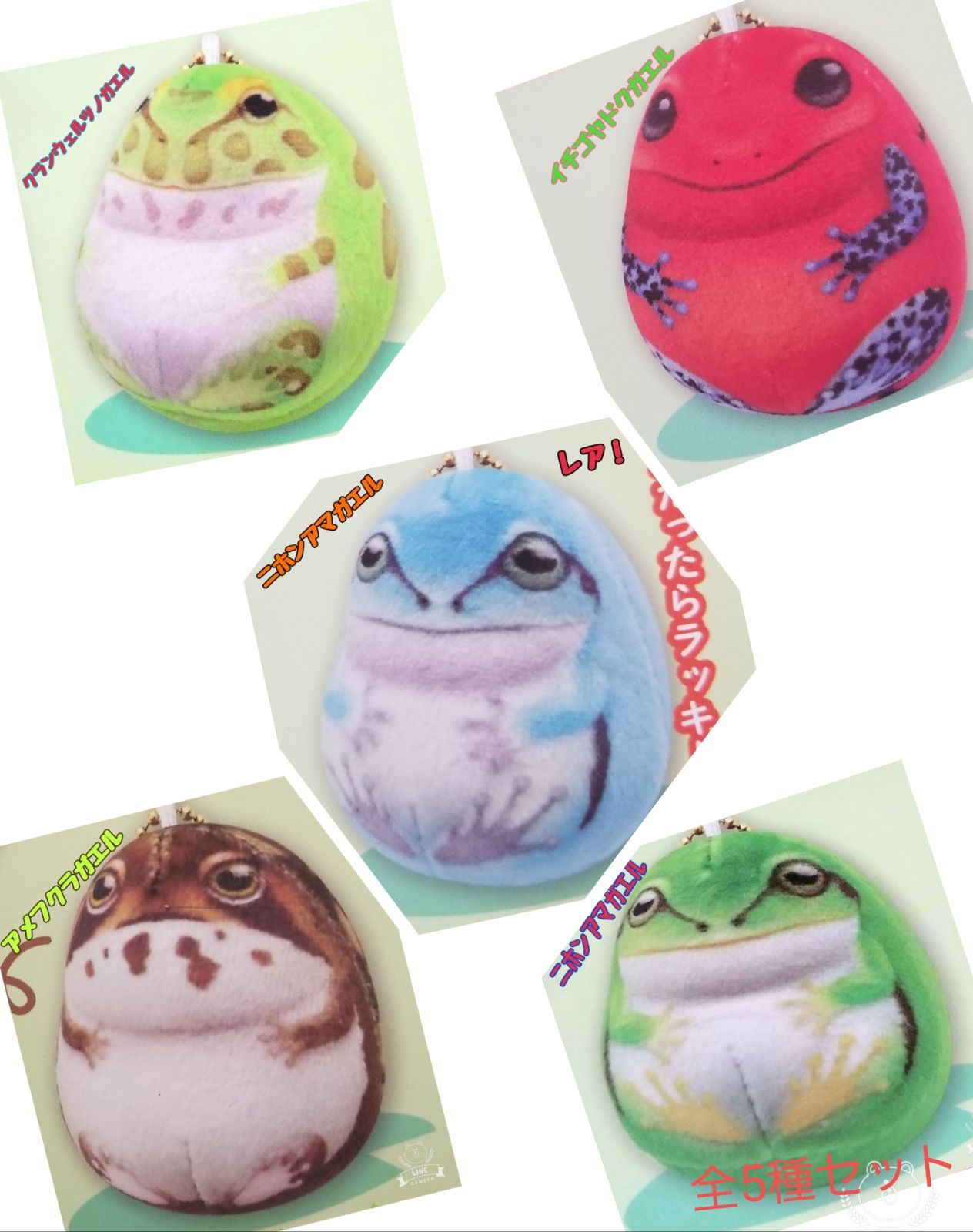 MOCHIXモチモチカエル 全5種 - メルカリ