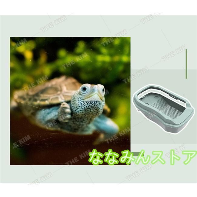 爬虫類