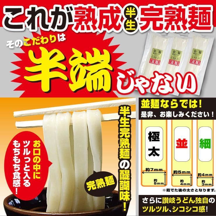 20時間熟成 半生 並麺 讃岐うどん つゆ付きセット 便利な個包装 750g 送料無料　A36