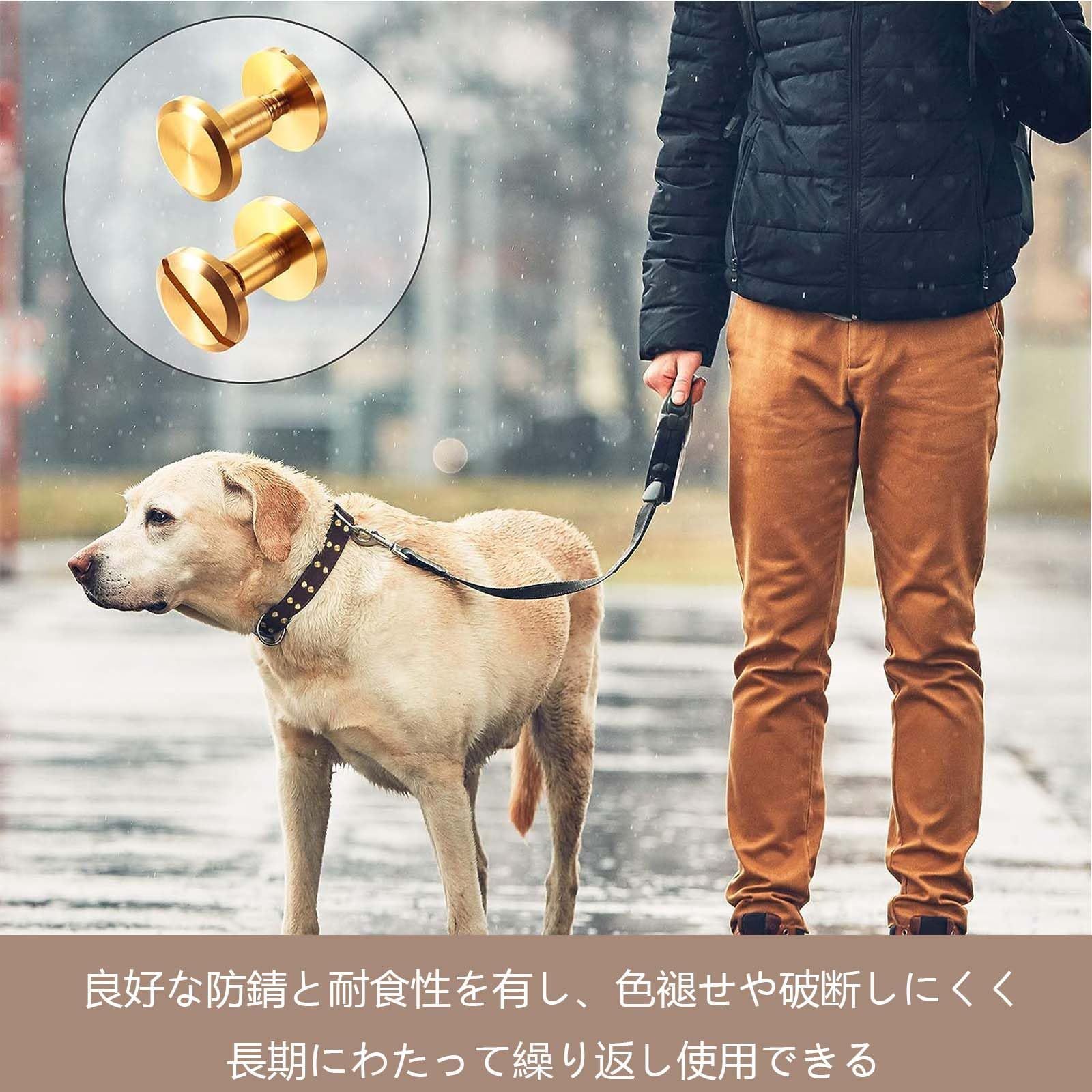在庫１点のみ！【新品】☆ビューティービースト：真鍮留め具　レザー　ブレスレット 六角ナット&ボール レザーブレスレット【3 color】 | BOYSHE