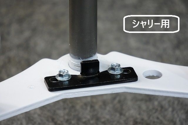 5cmカット済