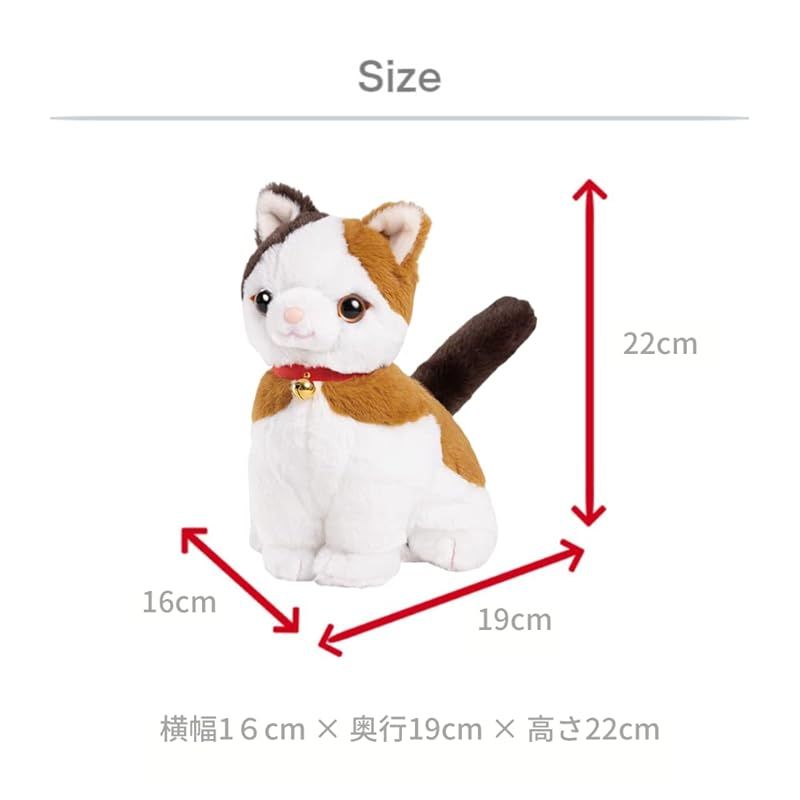 こんにちニャン