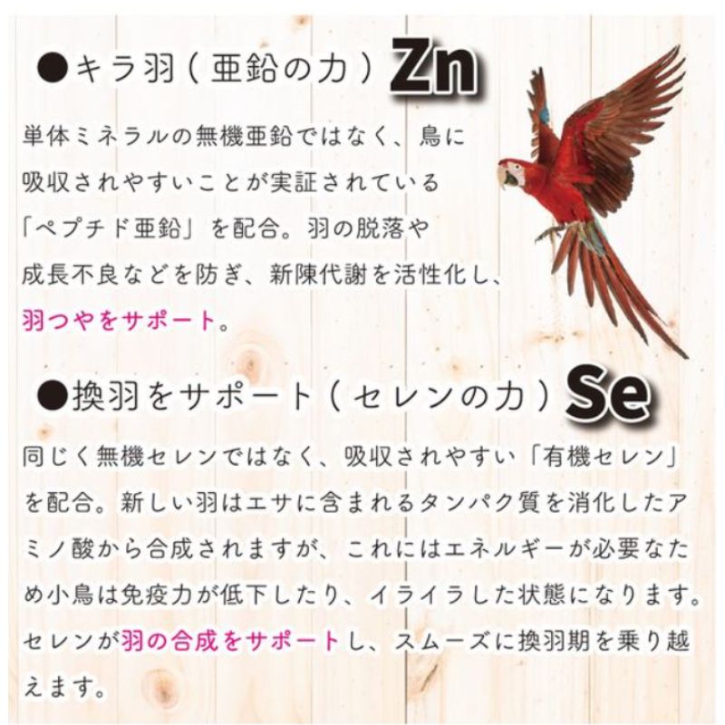 ひな鳥 雛