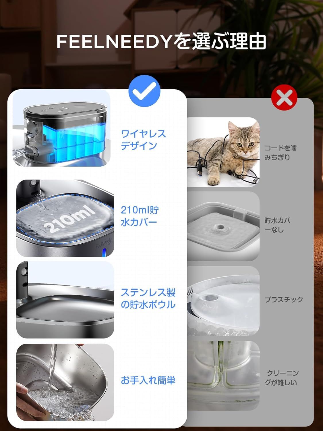 犬 猫