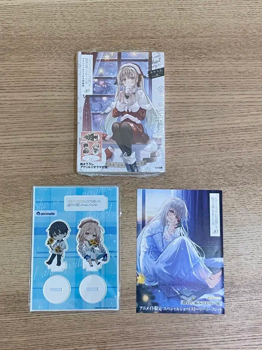 となりの吸血鬼さん 10巻 原書 特装版 アニメイト 特典 含む モデル