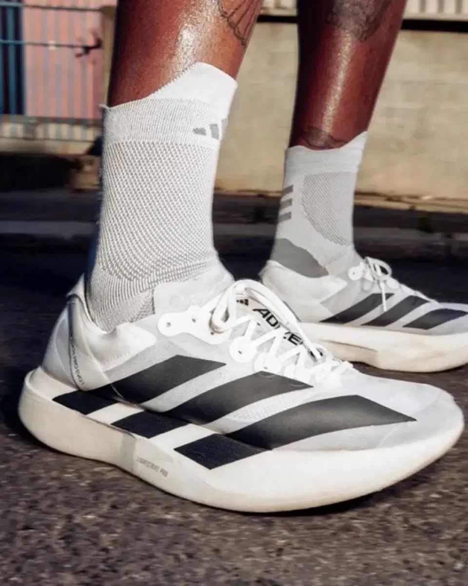 adidas アディダス アディゼロ evo sl 白 245