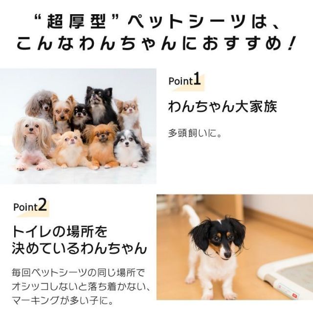 100枚