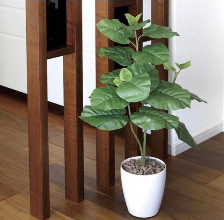 光触媒 人工観葉植物 フェイクグリーン ウンベラータ高さ80センチ