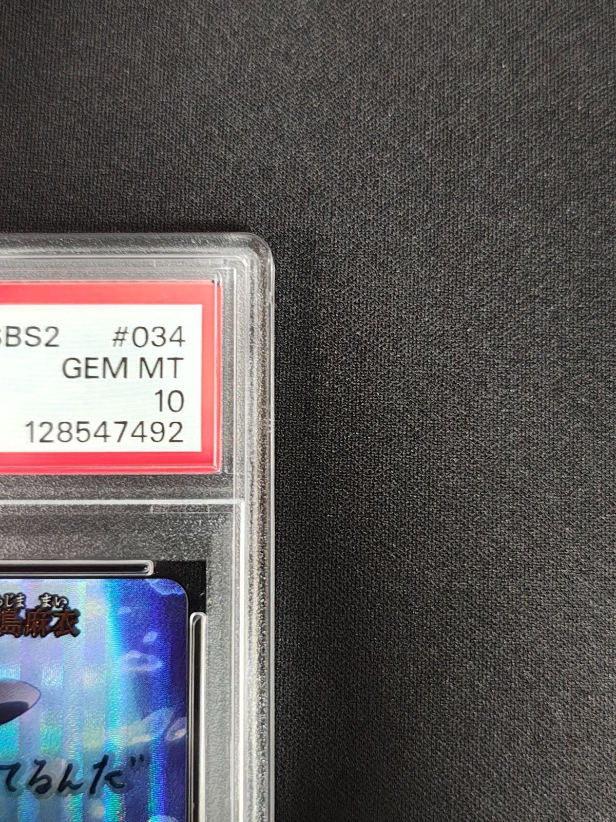 PSA10 ビルディバイドブライト シュレディンガーの兎 桜島麻衣SC サイン WWW_STEELWINDOWSANDDOORS_COM