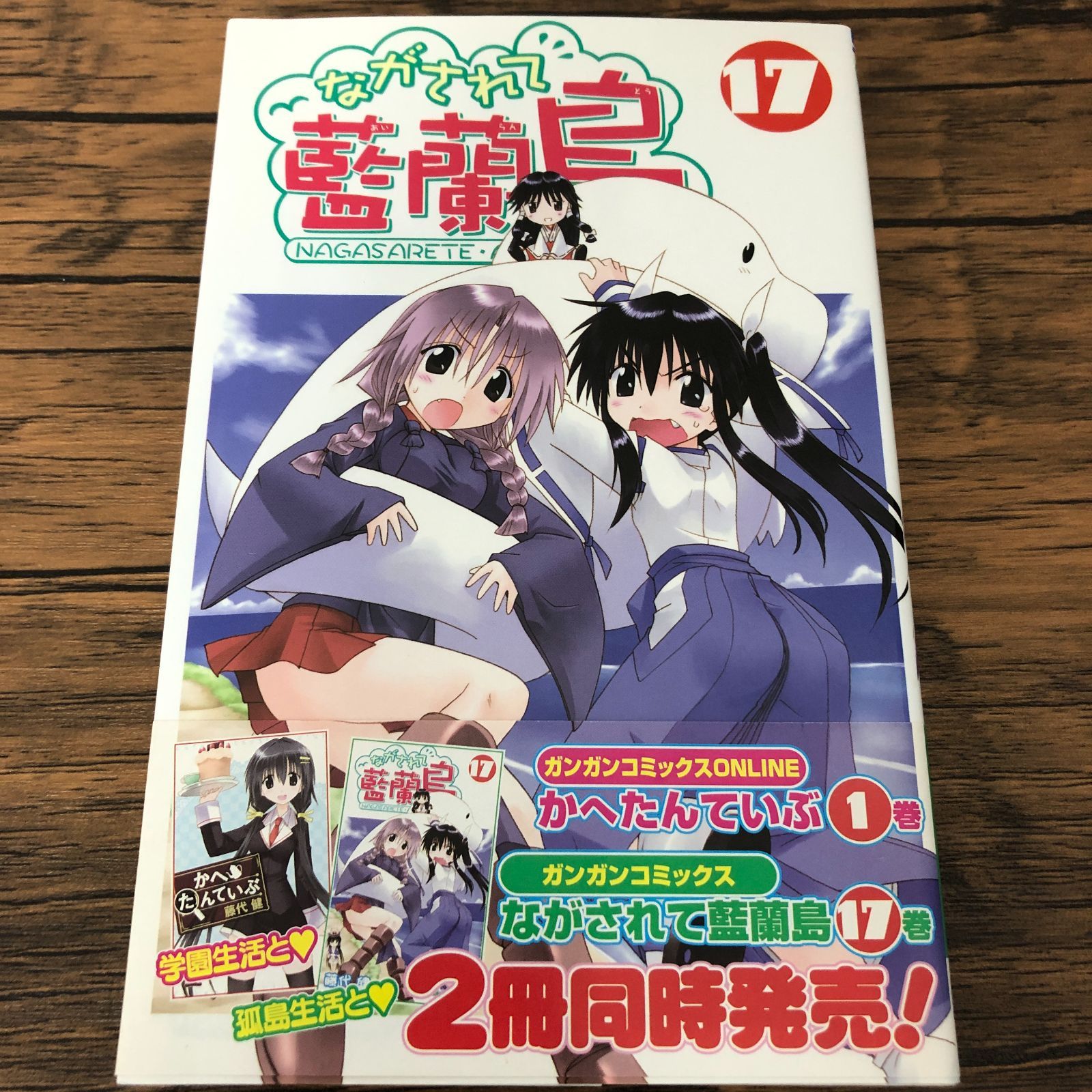 ながされて藍蘭島 1巻〜12巻 初版 ながされて藍蘭島 1巻〜12巻 初版 Amazon.co.jp: な