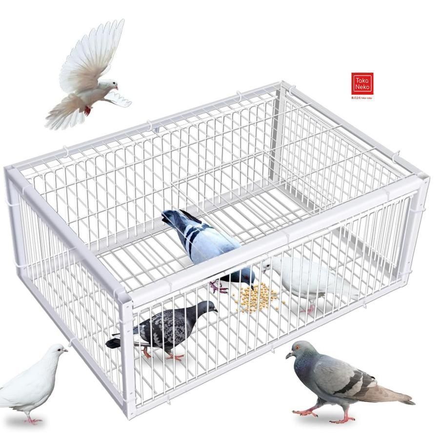 ハト.トラップ 鳩捕獲器 鳥かご 屋外用鳩かご 鳩捕り 鳩罠 脱出防止設計 4道入口付き 天窓付き 自動鳩捕獲器 鳥の捕獲 鳥に害はありません