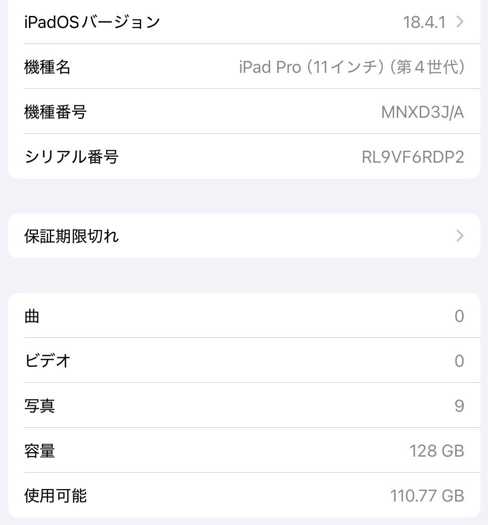 iPad Pro 第4世代 11インチ バッテリー容量99% iPad Pro 第4世代 11インチ バッテリー容量99% iPad】みずおじさんの