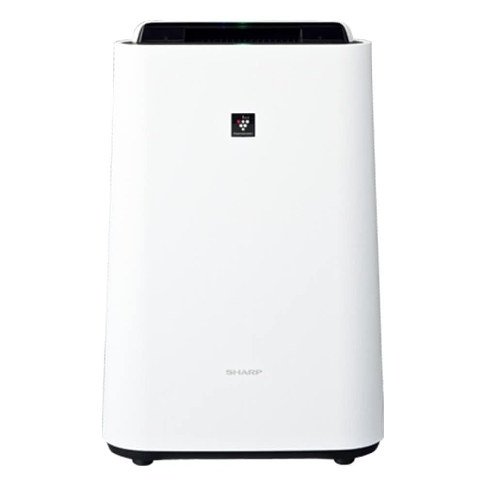 極美品 絞り羽・ファインダー・レンズ洗浄 Olympus Pen D3 即撮影可