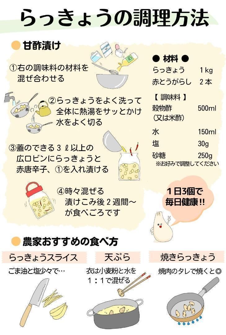 ラッキョ