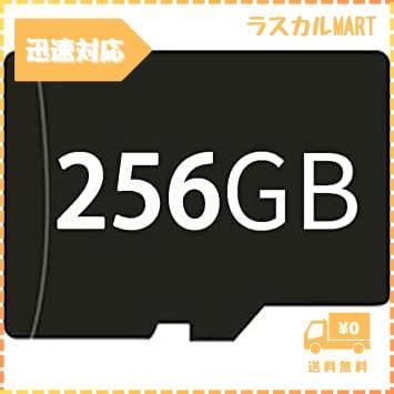 RG353P/RG353PS/RG351MP/RG351V/RG503/RG552/RG353V/RG353VS/RGARC用メモリカード  256GBカード - メルカリ