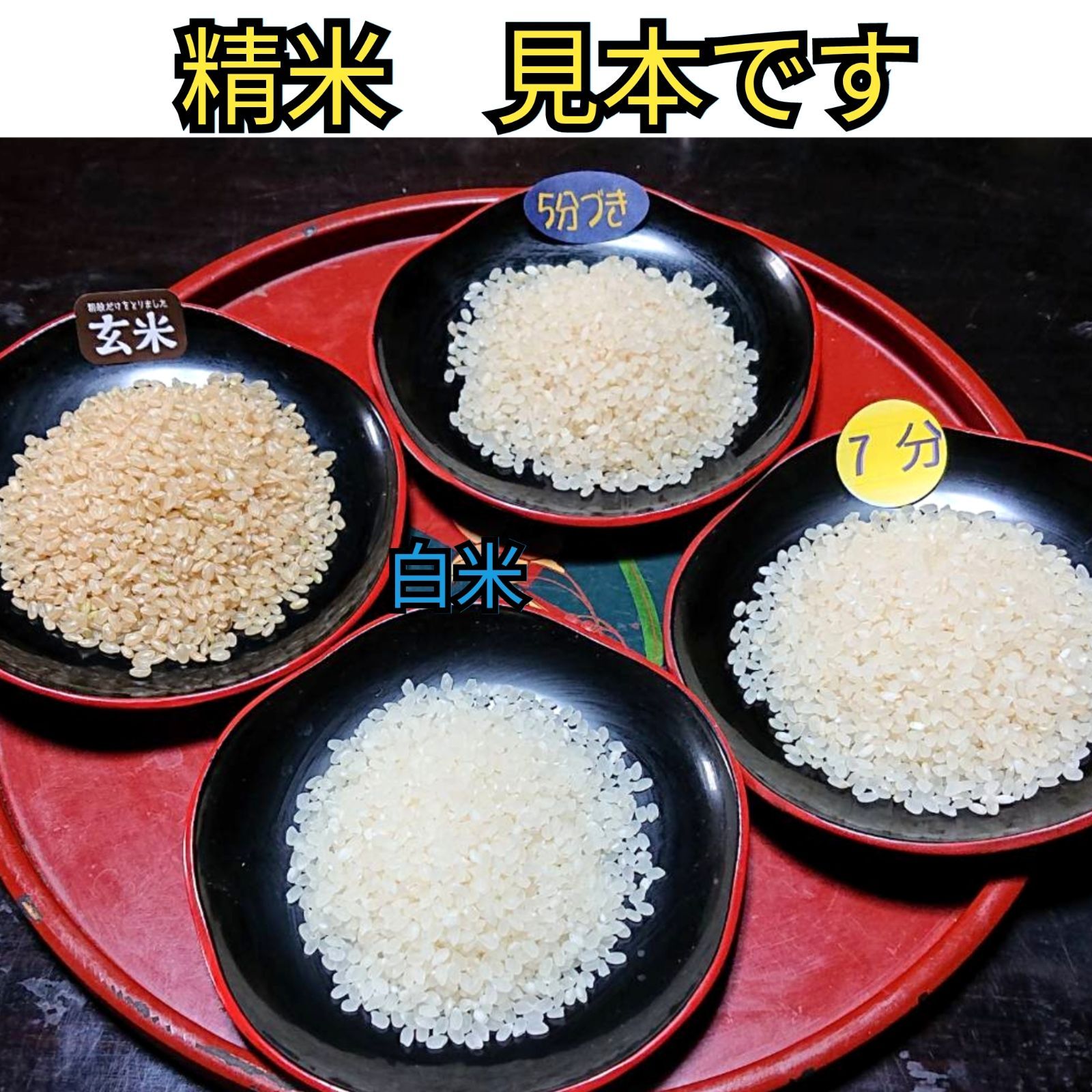 R6年富山県産コシヒカリ白米4.5kg×2袋✳️関東､東海､信越､関西地域限定 