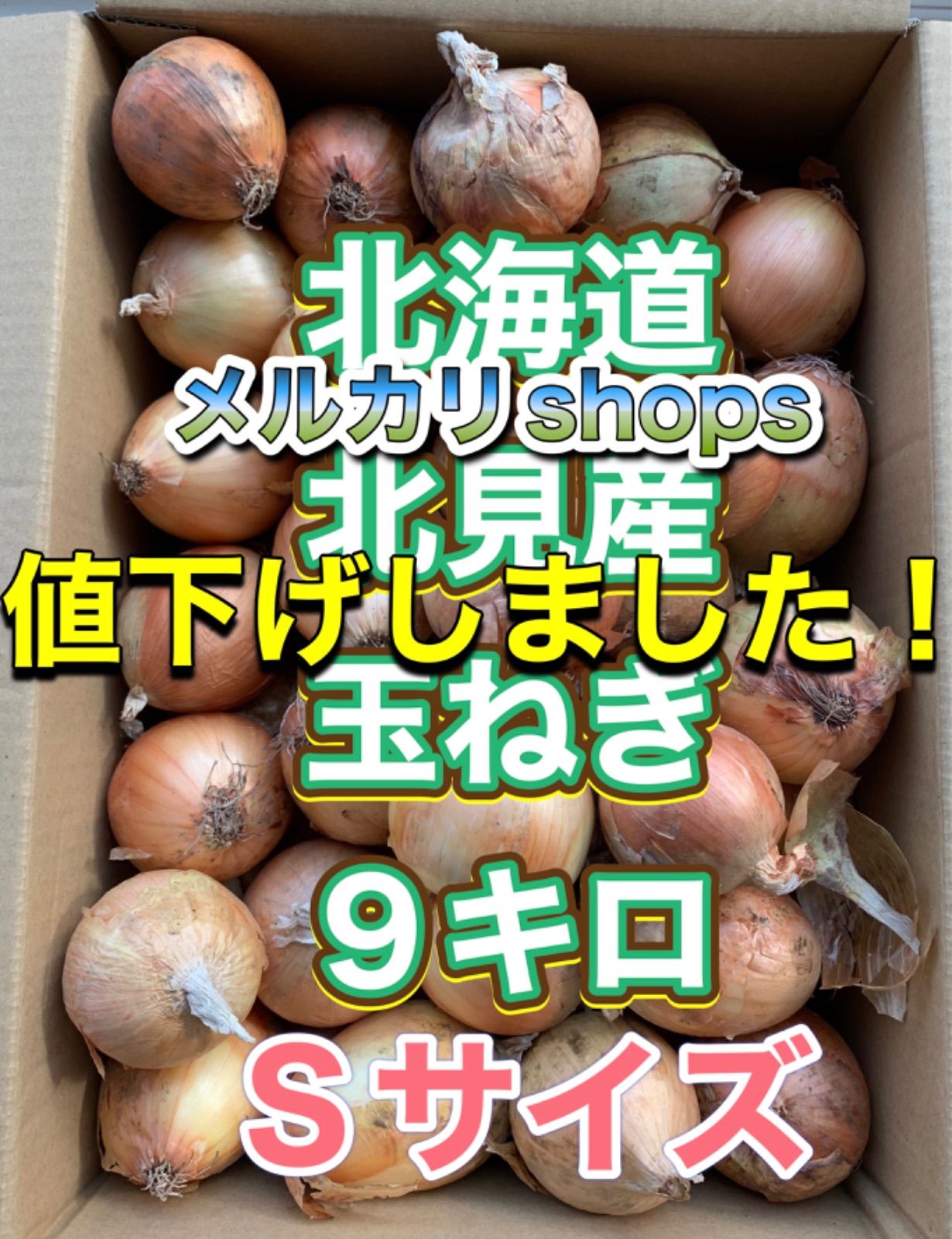 北海道産玉ねぎ Sサイズ ９キロ - のりの玉ねぎ屋さん 2023年販売終了