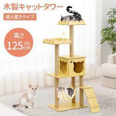 大型猫用