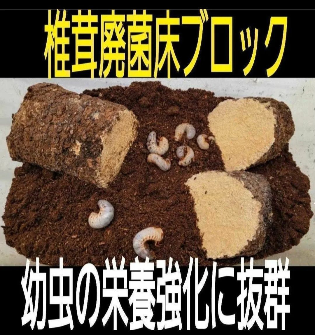 カブトムシ幼虫の栄養強化に抜群！椎茸菌床ブロック【2個セット】丸ごと発酵マットに埋め込むと幼虫が潜り込みモリモリ食べます！クヌギ100％原料使用 -  メルカリ