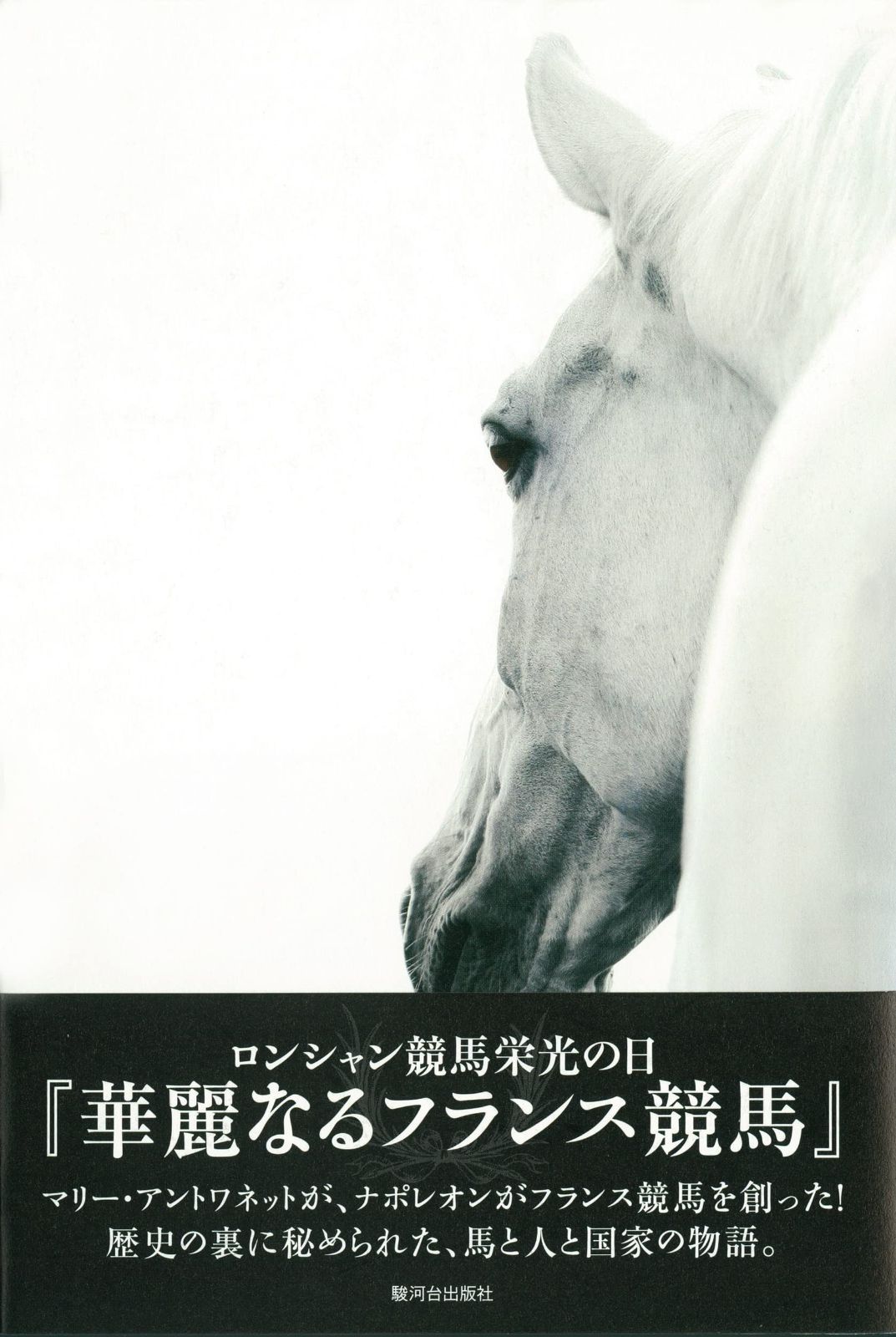 激安大特価，大人気 華麗なるフランス競馬 ロンシャン競馬栄光の日 その他