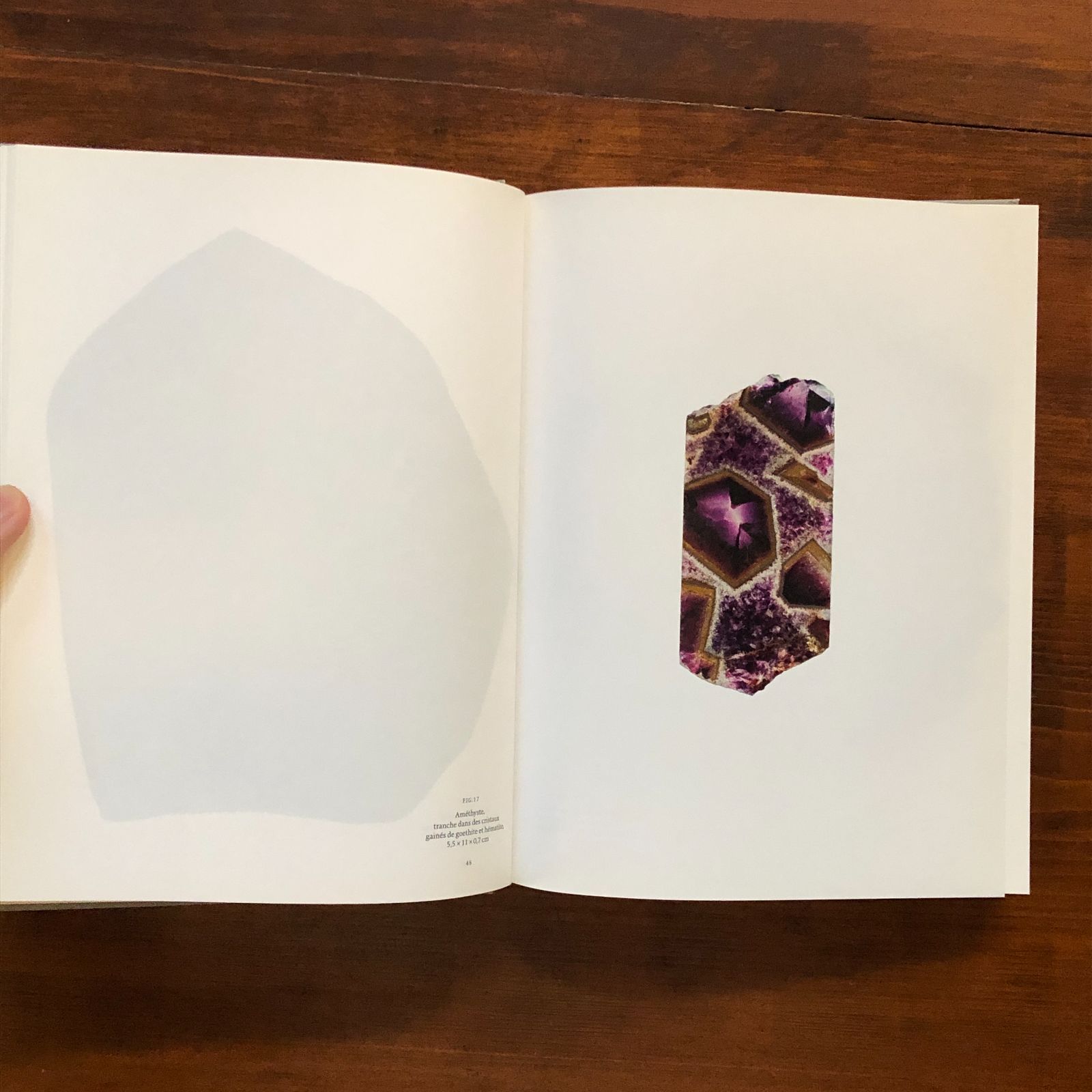 ロジェ・カイヨワ 作品集 ROGER CAILLOIS: LA LECTURE DES