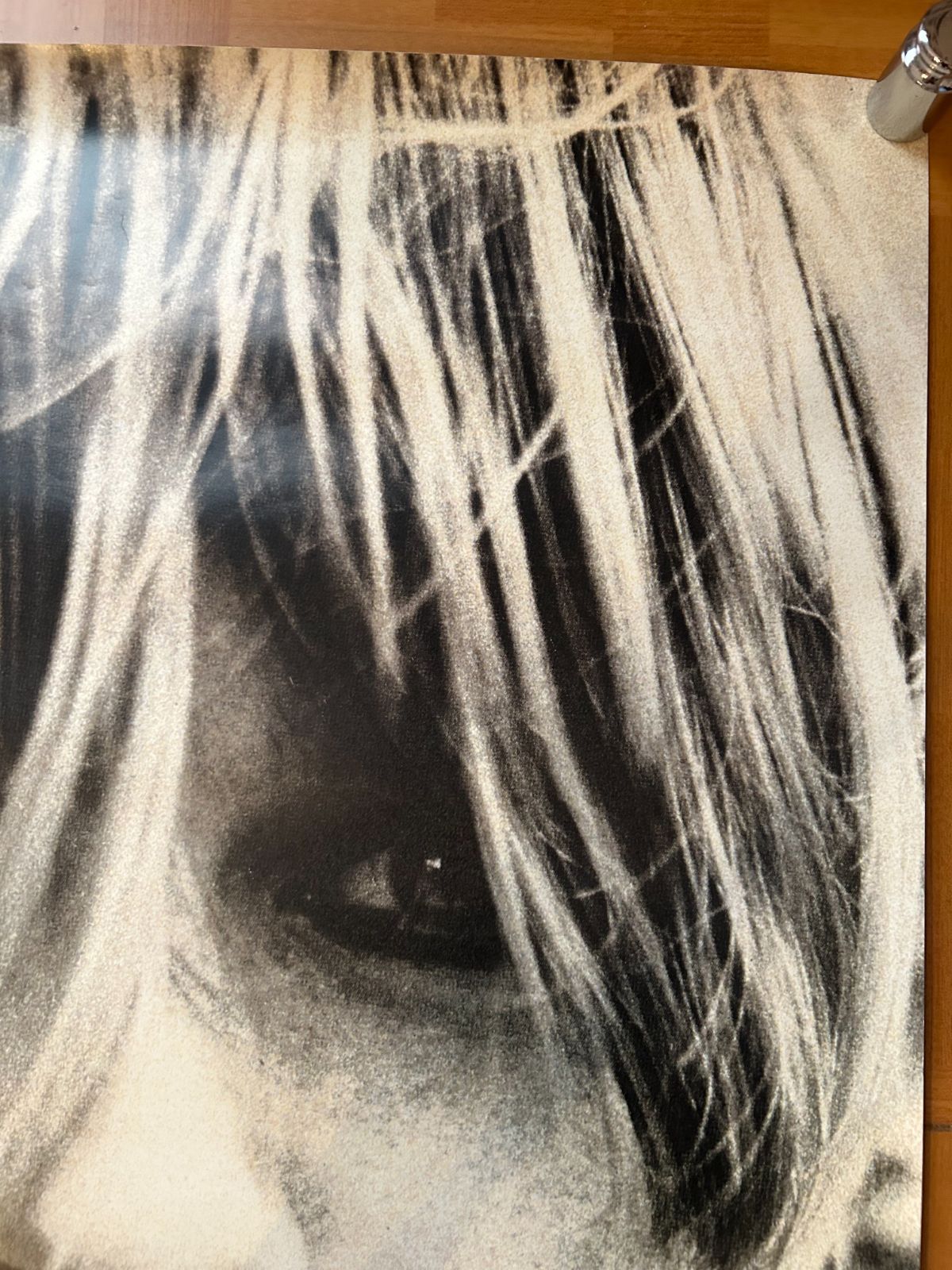 NIRVANA KURT COBAIN / 1990年代 デッドストック オフィシャルポスター