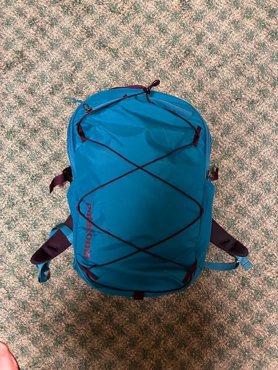 パタゴニア バックパック 30リー