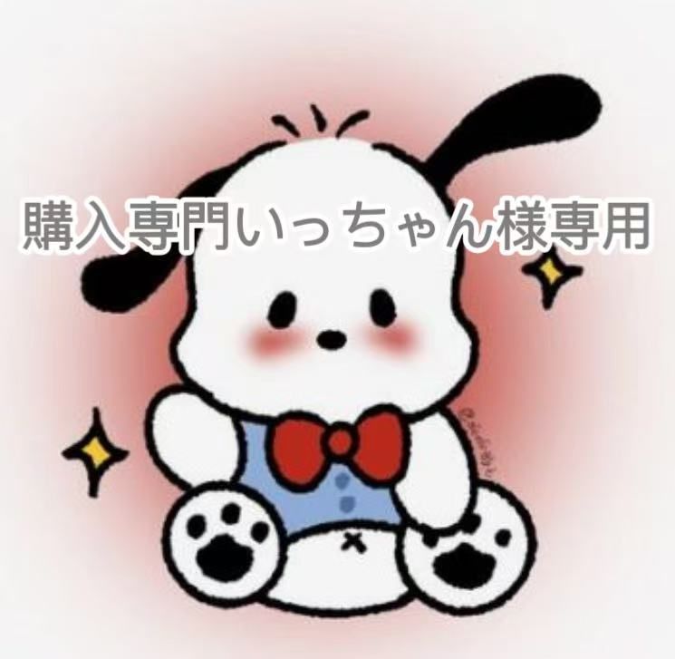 購入専門いっちゃん様　専用