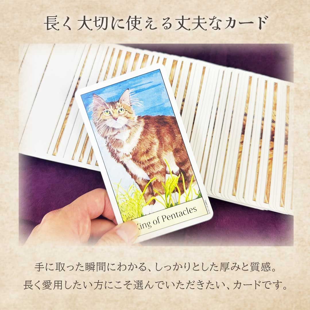 正規品］ 豪華特典付き ポーチ付き キャッツアイタロット