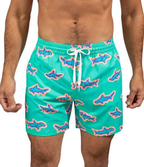 【送料無料】 チャビーズ メンズ ハーフパンツ・ショーツ 水着 Family Matching Apex 5.5 Inseam Swim Trunks Mint