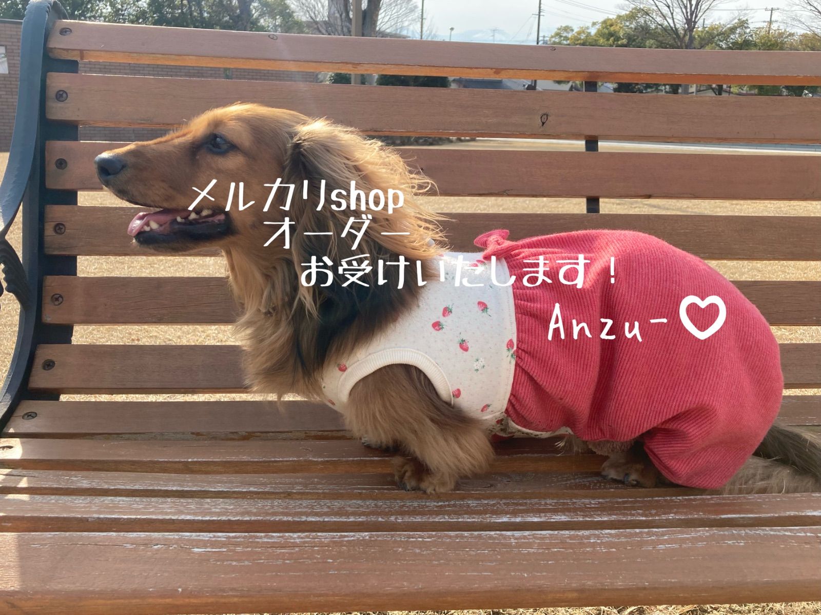 Anzu 犬服 オーダーお受けいたします ダックスフンド服 ハンドメイド