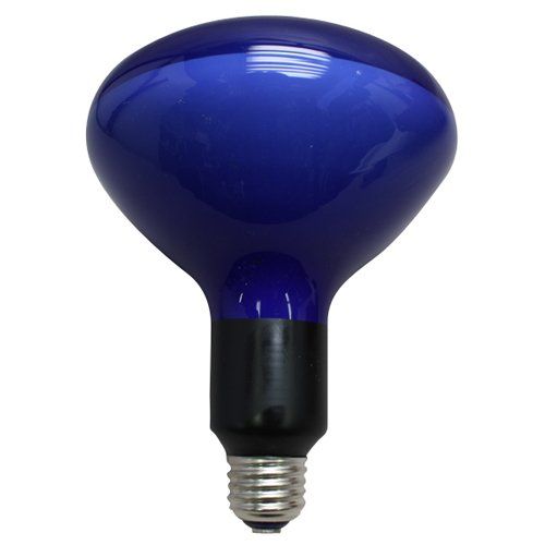 ディズニー公式 ツリーオブライフ ヴィンテージ ステンドグラス