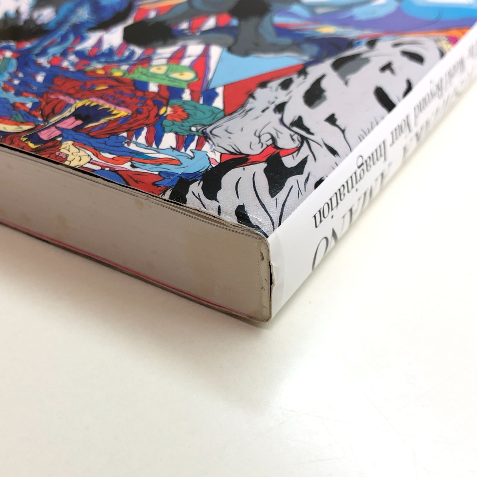 天野喜孝展　図録　想像を超えた世界 Amazon.co.jp: 天野喜孝展 -想像を超えた世界- : 天野 喜孝: 本