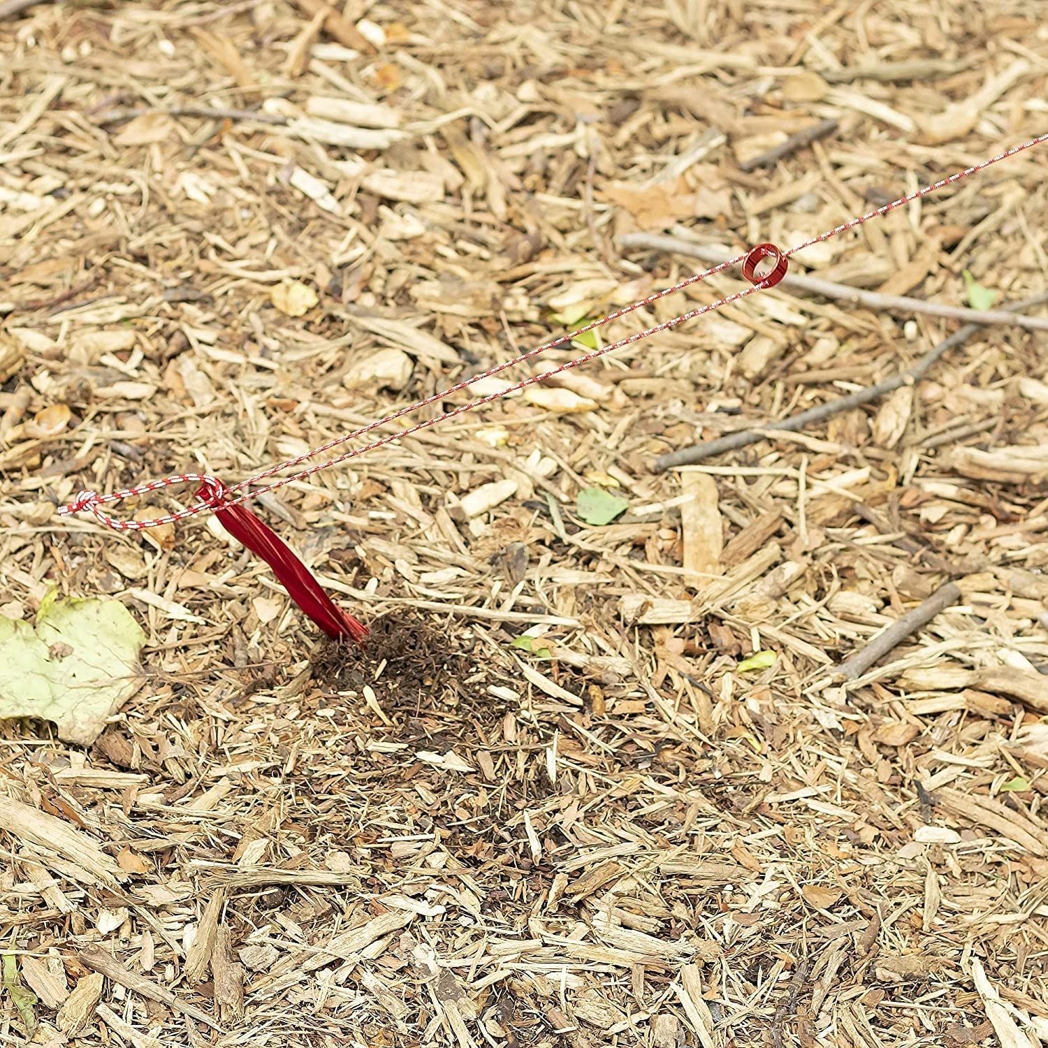 数量 アウトドア テント MSR カムリング コードテンショナーラージ Camring Cord Tensioners 日本 37817