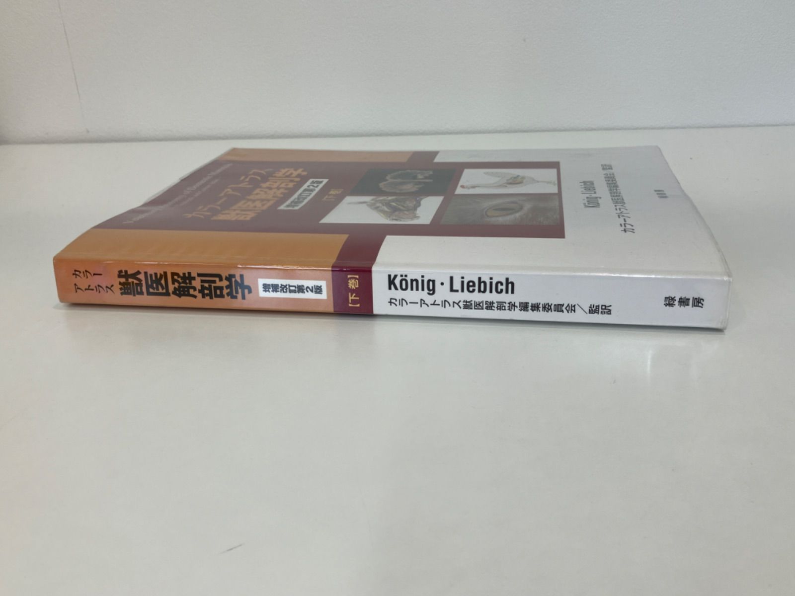 カラーアトラス獣医解剖学 増補改訂第2版 上巻 Amazon.co.jp: カラーアトラス獣医解剖学 増補改訂第2版 上巻