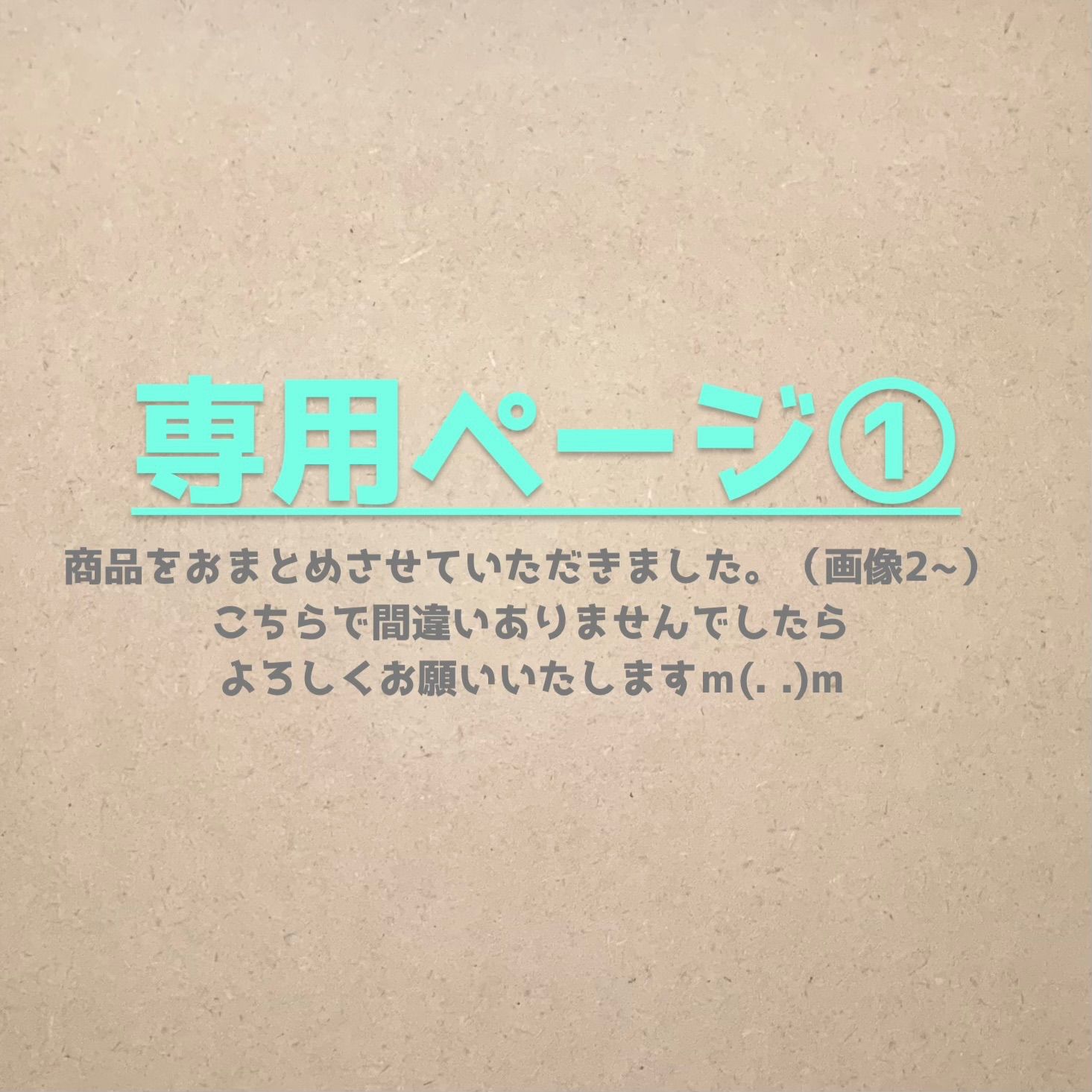 専用ページとさせていただきます。 （専用ページ① でっかく）